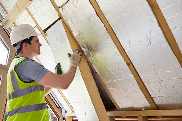 Best Eco-Friendly Insulation in Rotonda, FL
