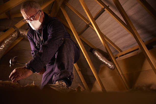Types of Insulation We Offer in Rotonda, FL